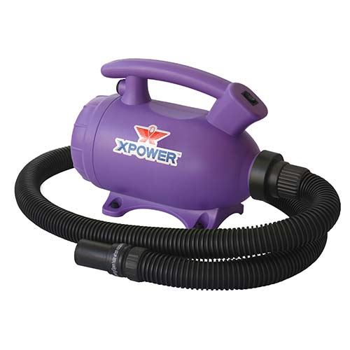 XPOWER B-55 Home Pet Dryer